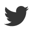 twitter-gris