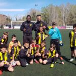 alev c 8-0 ivars